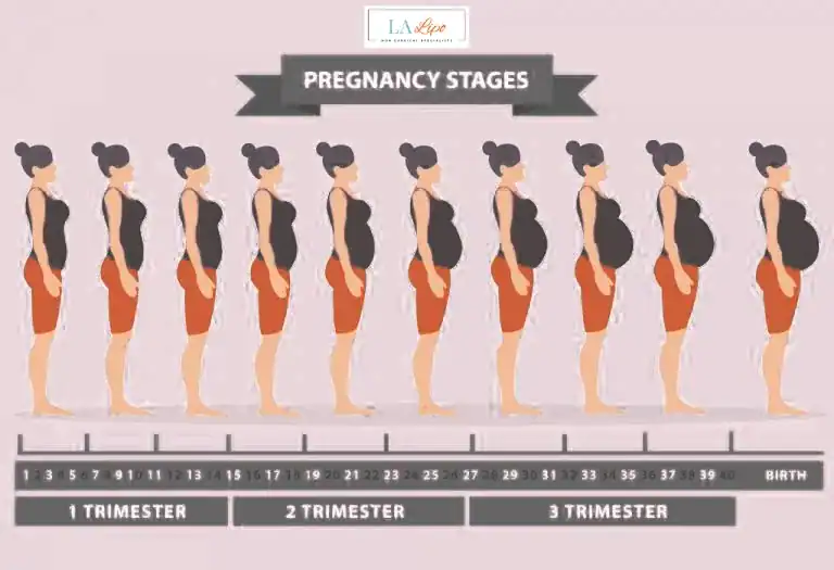 First Trimester (Weeks 1–12): Early Changes You Might Not Notice Henley-on-Thames